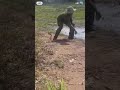 Human Vs Water snake
