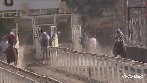 Carril Pipodromo de Sahuayo, Mich. | El Pichn Vs E...