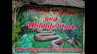 BOHOL PYTHON & WILDLIFE PARK (WORLD LONGEST & PRESERVED PYTHON)