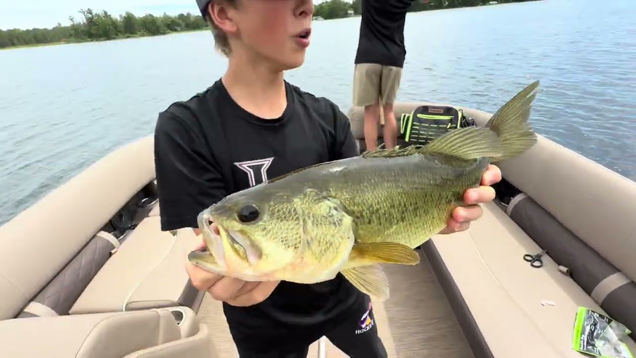 Small vs medium vs big lure challenge #fishing #bassfishing #hunting #bass