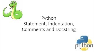 Python Programming  - Statements and comments