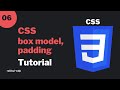 #6 CSS Box Model | Content, Padding, Border, Margin | Padding | CSS Beginner Tutorial Bangla