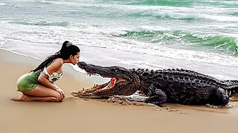 When APEX Predators Forget They're Dangerous