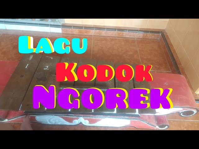 Lagu Kodok Ngorek#tutorialkodokngorek#kodokngorek class=