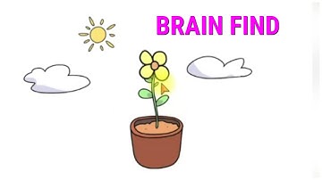 Brain Find Level 1 2 3 4 5 6 7 8 9 10 Answers and Walkthrough