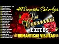 Dulces Sueños - Los Bukis Grandes Románticas Inolvidables Mix 🌹