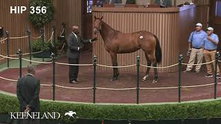 Keeneland September 2021 - Hip 356, Into Mischief - Embellish the Lace