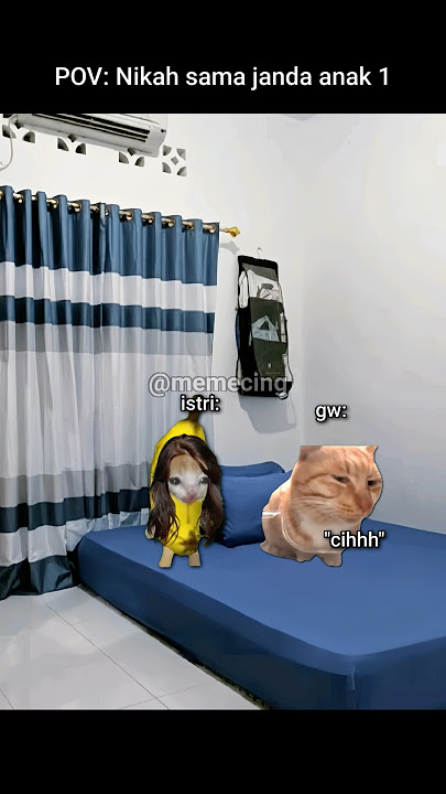 What are you doing 🤣 #meme #catmeme #cat #cutecat #fyp #viral