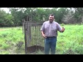 Trapping feral hogs: Gates and Baits