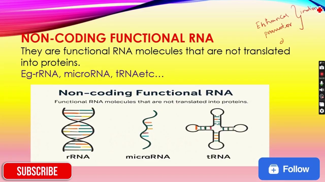 Types of Introns part 3 explained