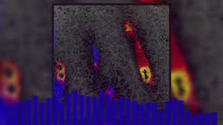 "A Short Heat" | Arthur Leon | Audio and Visualizer