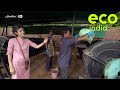 Eco India: A community in Gurgaon is ensuring no organic waste is sent out of their neighbourhood