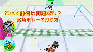 白猫テニス ダブルス コツ