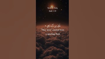 الشيخ ياسر الدوسري | سورة الطارق #القران #القاريء