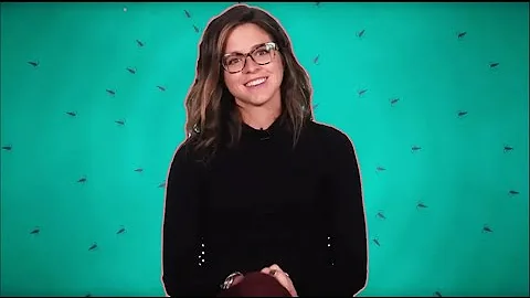 What happens to microplastics in the ocean? | Ocean Wise