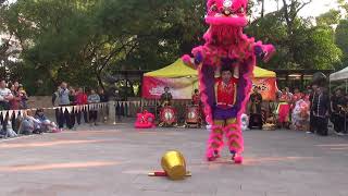 香港功夫表演2017121013
