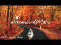Indie/Indie-Folk Compilation - Autumn/Fall 2023 🍂 (2½-Hour Playlist) Mp3 Song