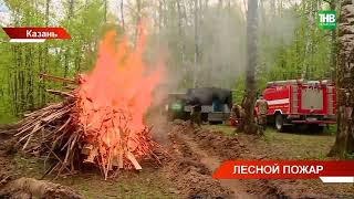 В Казани спасатели МЧС отработали навыки тушения пожара совместно с лесной охраной