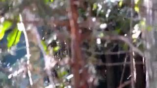 【サバゲ】CIMAX20100207.FLV