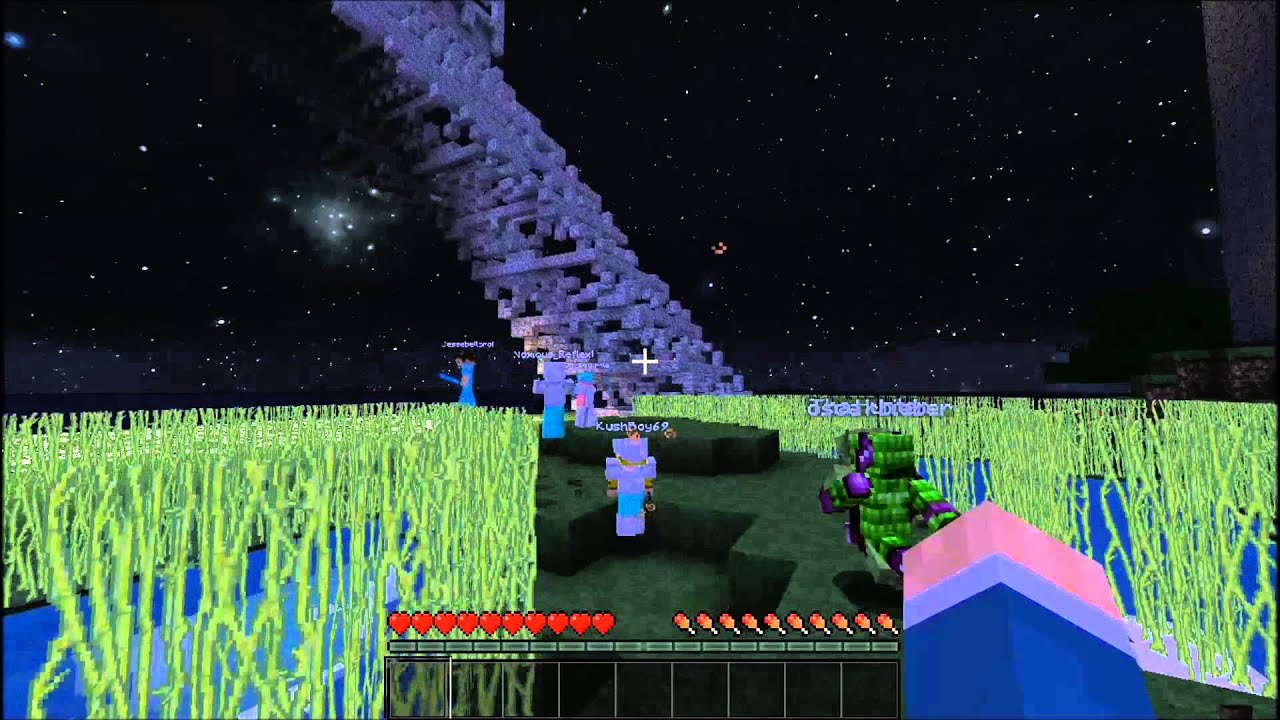 Tis the Season to be Trolling - Stupid Minecraft Troll Song