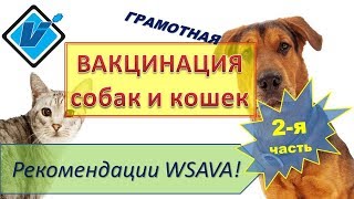 Вакцинация собак и кошек. Рекомендации WSAVA (2017). Часть 2. Вакцинация собак и кошек. Рекомендации WSAVA (2017). Часть 2.