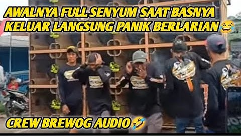 Penonton Brewog Dibuat Kaget Dan Panik Saat Awal Bassnya Keluar || REACTION