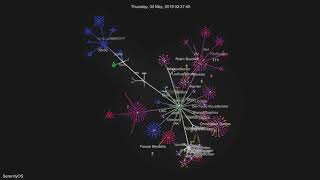 SerenityOS git history visualized (1st year)