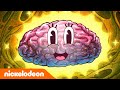 Bob Esponja | Uma Esponja Entalada | Nickelodeon em Português
