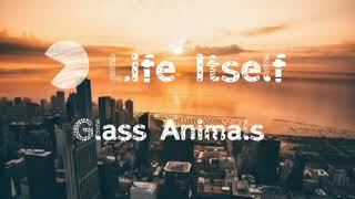 Life Itself-Glass Animals (Lyrics)