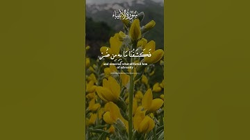 وأيوب إذ نادي ربه | عبدالباسط عبدالصمد | سورة الأنبياء | حالات واتسآب | قران مقاطع قصيره #ايات