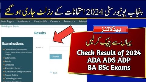 Check Result of ADA ADS ADP BA BSc 2024 Exams Punjab University | PU 2024 Exams Result Announced