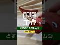 即興工作 No 169「どすこいカブトムシ」 #即興工作 #手作りおもちゃ