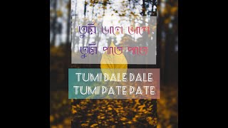 TUMI DALE DALE TUMI PATE PATE | LYRICAL CLIP | NEW EDM ASSAMESE SONG | WHATS APP STATUS(LYRIC BITZ )