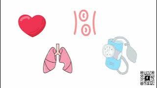 Meet Saibya, the Future of Personalised Health Tracking | All-in-One Health App #holistichealth