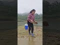 Single Mom’s Genius Fishing Trap Catches Tons of Fish! 🎣🔥
