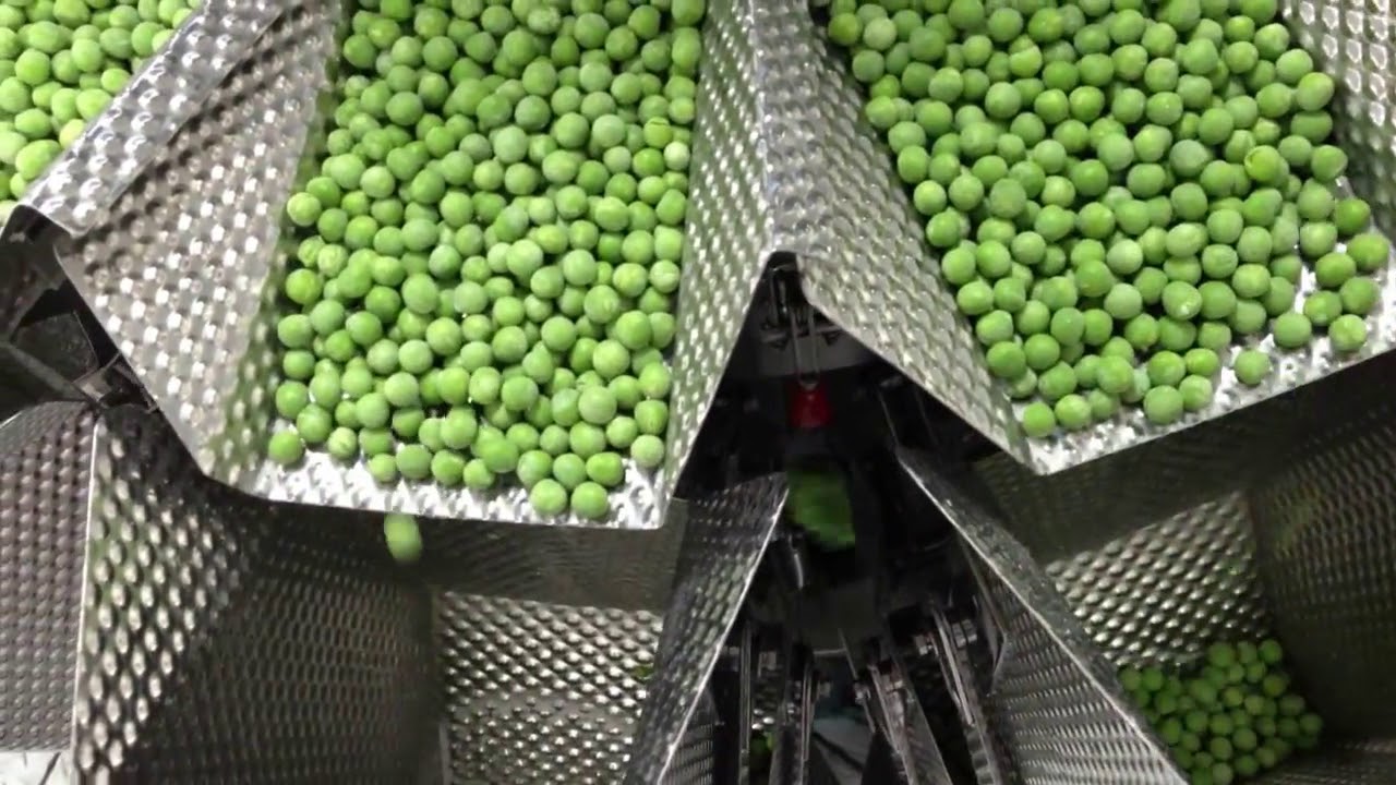 Automatic Weighing and Filling Frozen Peas - PrimoCombi multi-head weigher