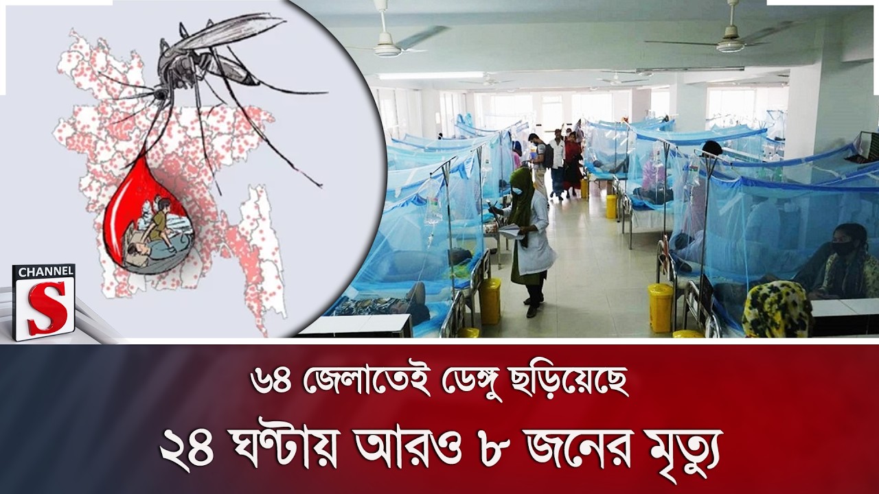 ৬৪ জেলাতেই ডেঙ্গু ছড়িয়েছে; ২৪ ঘণ্টায় আরও ৮ জনের মৃ/ত্যু | Dengue | Health Crisis | Channel S News