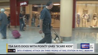 TSA using floppy-eared dogs
