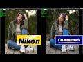 Nikon Z50 Vs Olympus 5M3 Vs Canon 1D-X ( Никонистам лучше не смотреть)