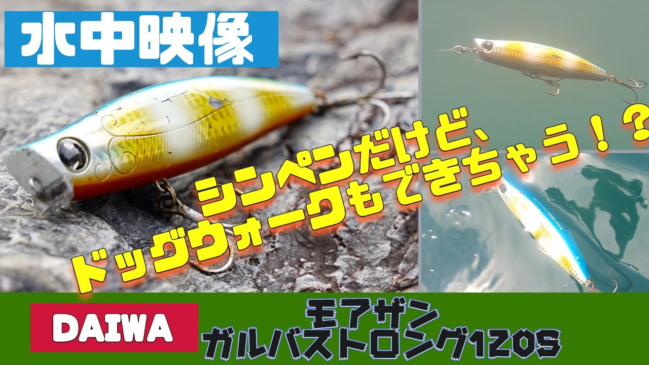 水中映像 ガルバストロング1sはとても汎用性が高いルアーです シーバス Youtube 水中映像 ガルバストロング1sはとても汎用性が高いルアーです シーバス Youtube