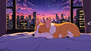 Peaceful Winter Moments 💤 Sleepy Corgi Vibes 💤 Dreamy Lofi Music For Sweet New Year Dreams