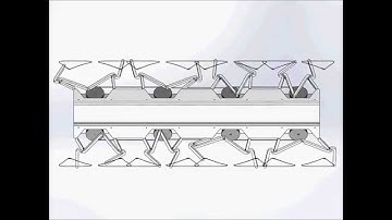 Six-bar Compliant Leg Design