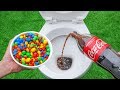 Experiment: M&M Candy VS Toilet Coca Cola, Sprite and Mentos