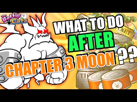 You Beat Chapter 3 Moon, What's NEXT? The Battle Cats Beginner Guide