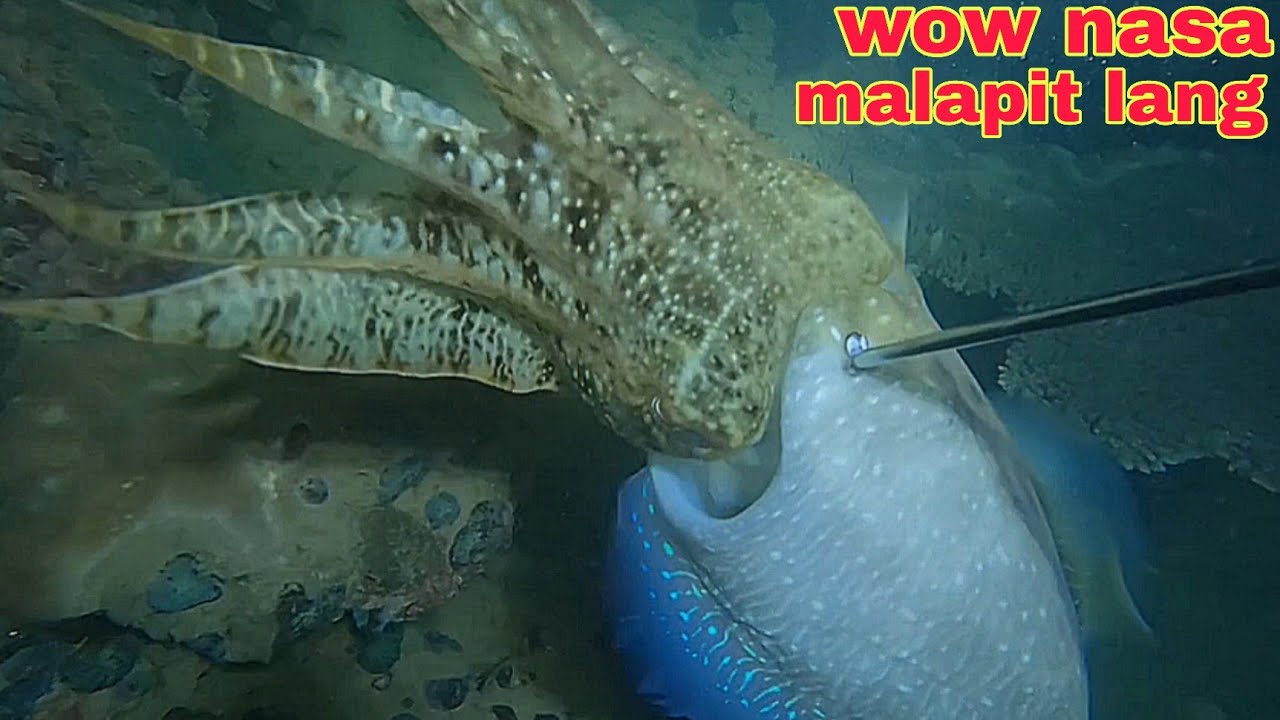 ep613 kulambutan palapit na ng palapit sa palingke