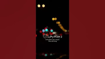 القارئ عبد الرحمن مسعد #quran