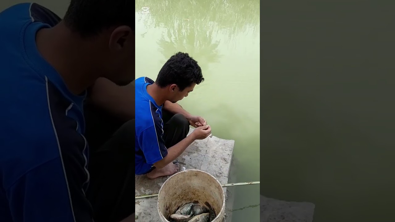 الفرق بين صيد السمك بليدين  والشص