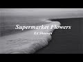 Supermarket Flowers Ed Sheeran Slowed mp3