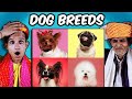 Villagers React To Breeds of Dogs - Learn Different Types of Dogs ! Tribal People React Dog Breeds