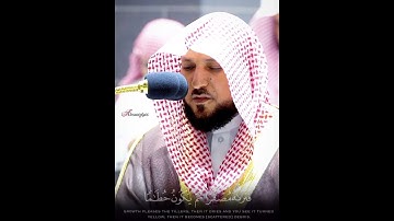 (اعلموا أنما الحياة الدنيا لعب ولهو) تلاوة خاشعة أسيفة من الشيخ د. ماهر المعيقلي